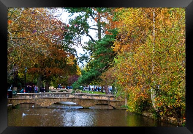 Autumn Trees Bourton on the Water Cotswolds Framed Print by Andy Evans Photos