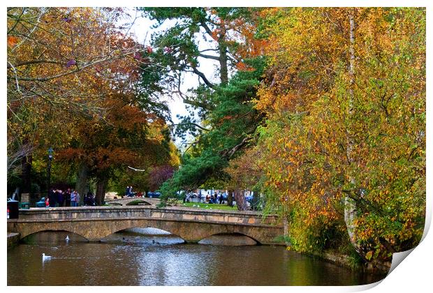 Autumn Trees Bourton on the Water Cotswolds Print by Andy Evans Photos