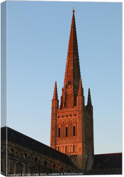 Norwich Cathedral Spire  - Red Sunset Canvas Print by Sally Lloyd