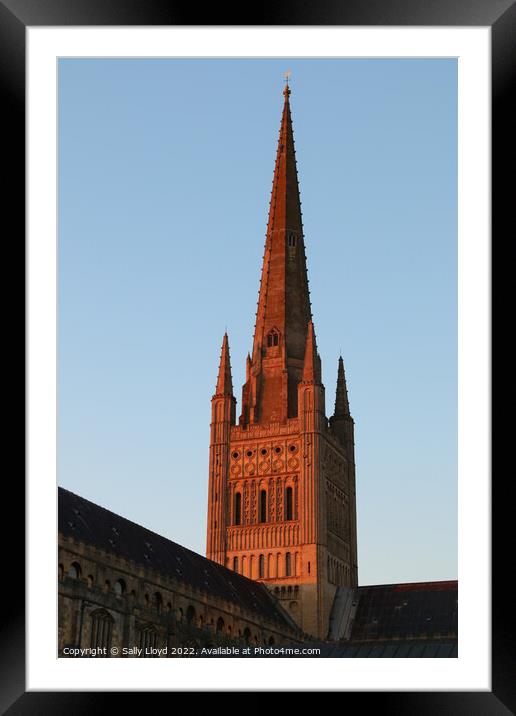 Norwich Cathedral Spire  - Red Sunset Framed Mounted Print by Sally Lloyd