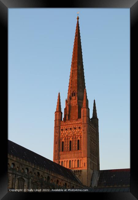 Norwich Cathedral Spire  - Red Sunset Framed Print by Sally Lloyd