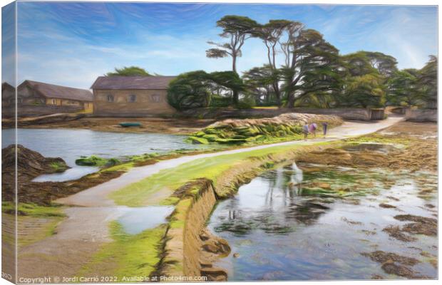 Low Tide Passage to Berde Island - C1506-1710-ABS Canvas Print by Jordi Carrio