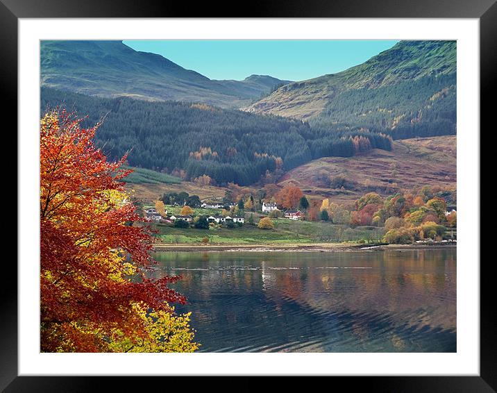 Autumn Colours Framed Mounted Print by Lynn Bolt