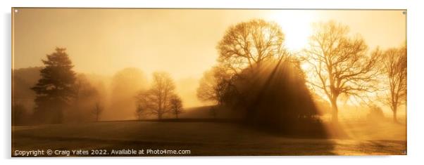 Misty Sunrise Glebe Park  Acrylic by Craig Yates
