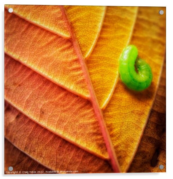 Autumn Leaf with a Caterpillar. Acrylic by Craig Yates
