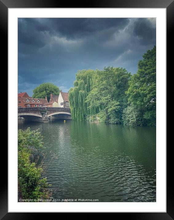 Willows by Fye Bridge, Norwich Framed Mounted Print by Sally Lloyd