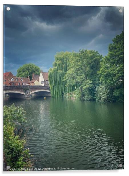 Willows by Fye Bridge, Norwich Acrylic by Sally Lloyd