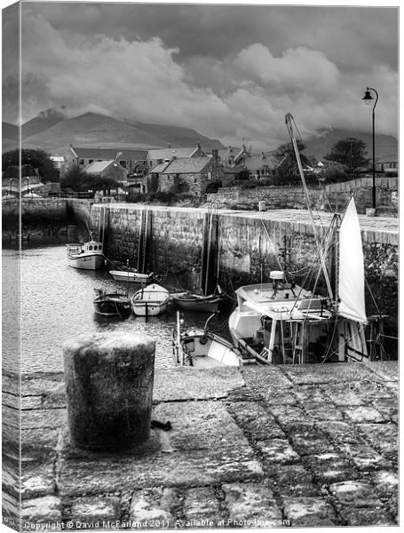 Sheltering in Annalong Harbour Canvas Print by David McFarland