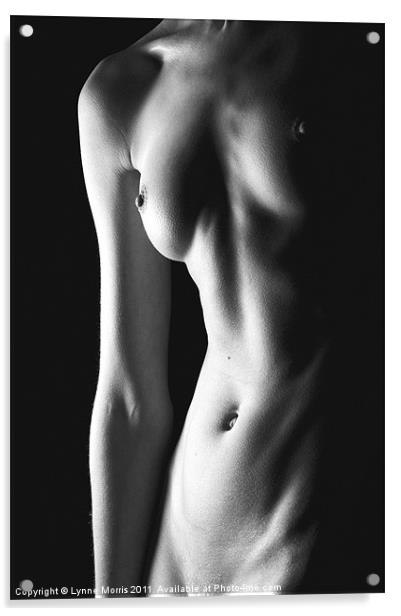 Body Art Acrylic by Lynne Morris (Lswpp)