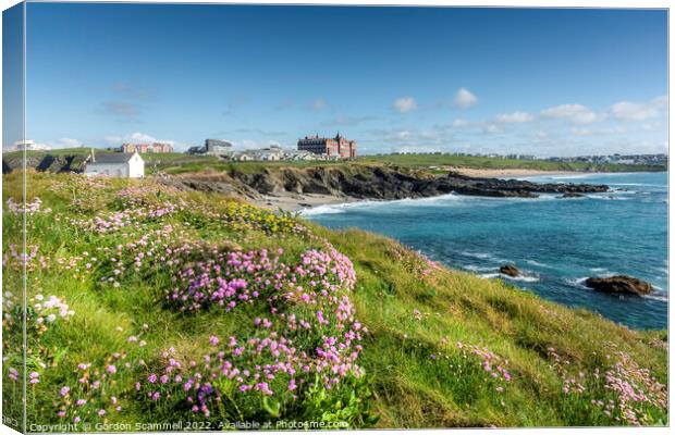 Sea Thrift on the coast at Towan Head in Newquay,  Canvas Print by Gordon Scammell