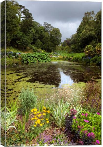 The sub-tropical Trebah Garden in Cornwall. Canvas Print by Gordon Scammell