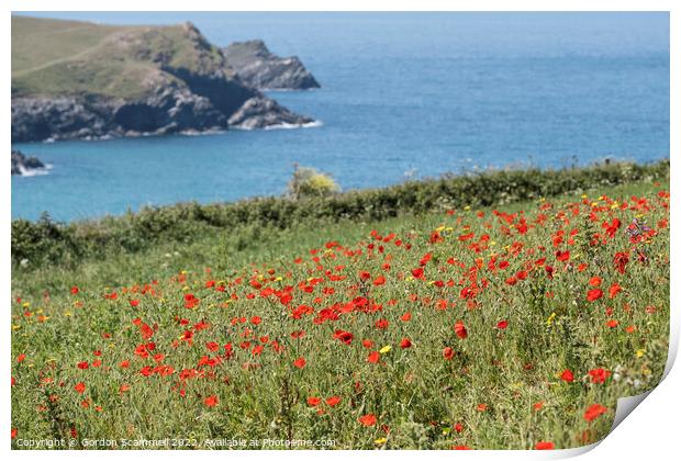 Poppies on Pentire Point West in Newquay, Cornwall Print by Gordon Scammell