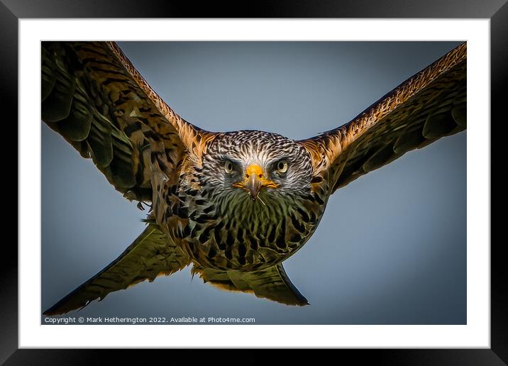 Incoming Red Kite Framed Mounted Print by Mark Hetherington