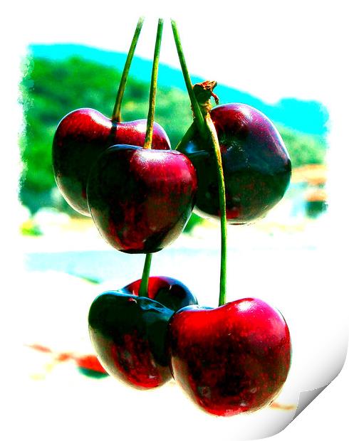 Greek Cherries Print by john hill