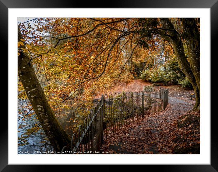 A Pathway to Autumn Bliss Framed Mounted Print by Rodney Hutchinson