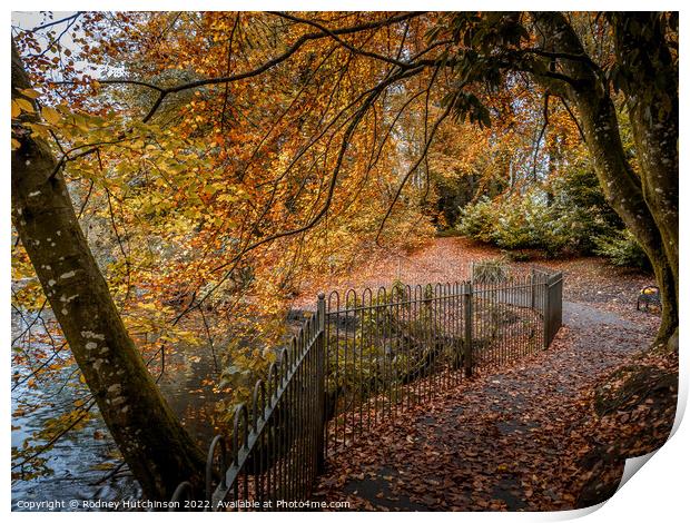A Pathway to Autumn Bliss Print by Rodney Hutchinson