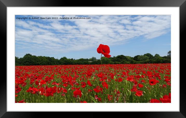 Outdoor poppy field Suffolk  Framed Mounted Print by Robert Beecham