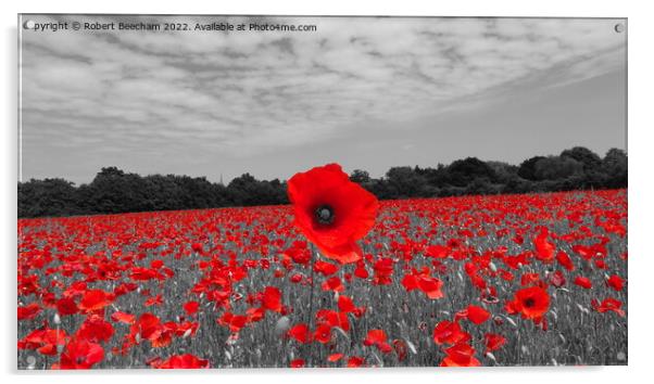 Poppy field Suffolk  Acrylic by Robert Beecham