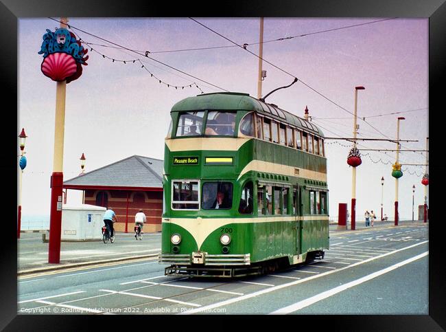 Majestic Heritage Tram in Blackpool Framed Print by Rodney Hutchinson