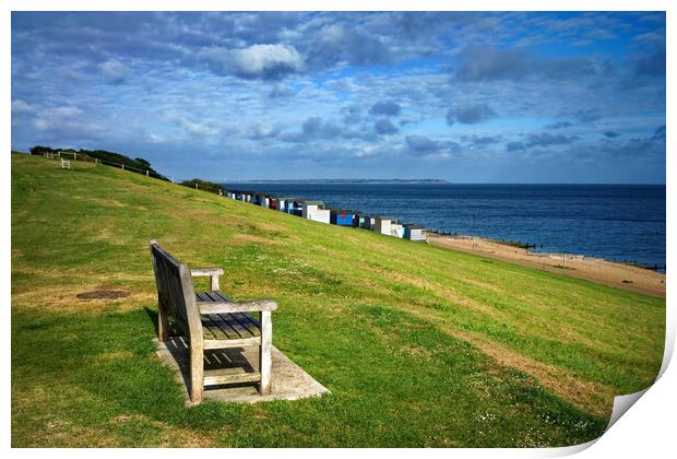 View from Tankerton Slopes Print by Darren Galpin