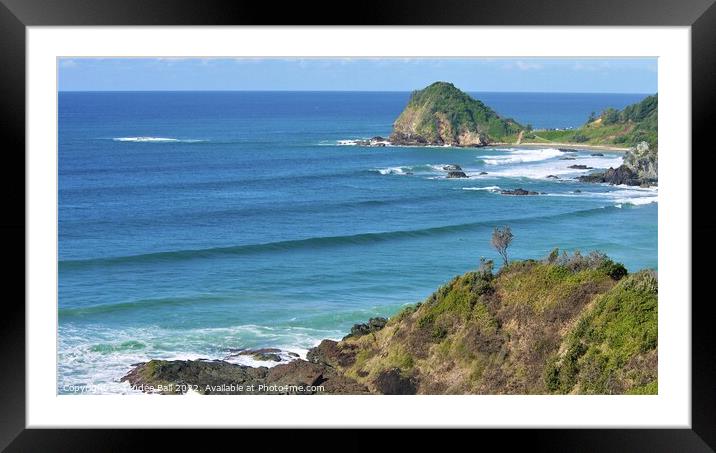 Nobby's Beach Port Macquarie Australia Framed Mounted Print by Trudee Ball