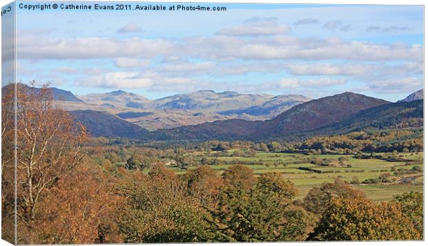 Across the Eskdale Valley Canvas Print by Catherine Fowler