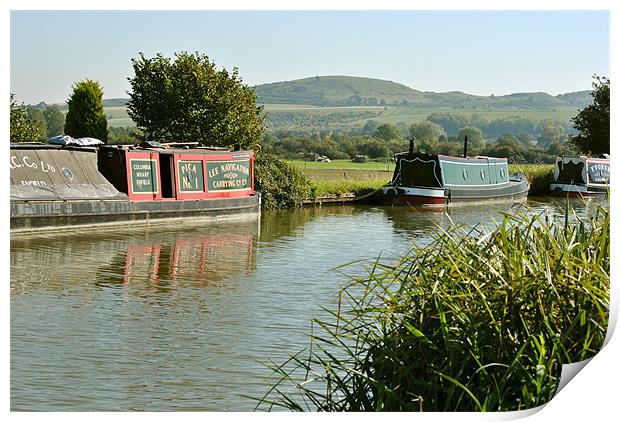 Narrowboats in the Chilterns Print by graham young