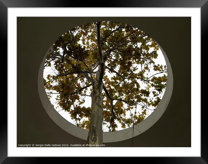 The tree in the hole Framed Mounted Print by Sergio Delle Vedove