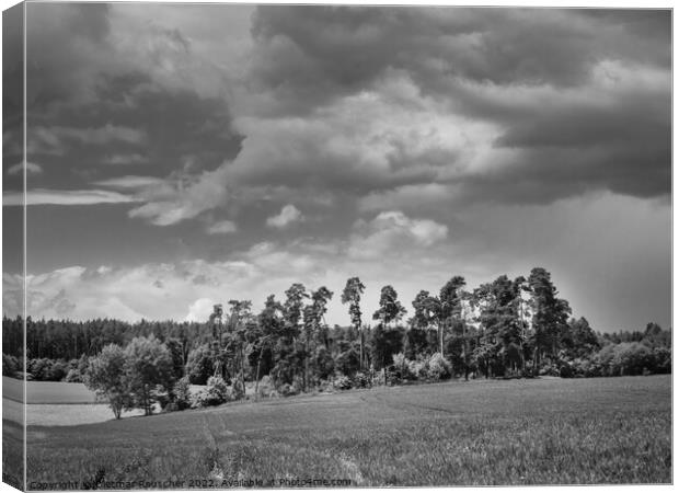 Landscape near Malkovice in Western Bohemia in Black and White Canvas Print by Dietmar Rauscher