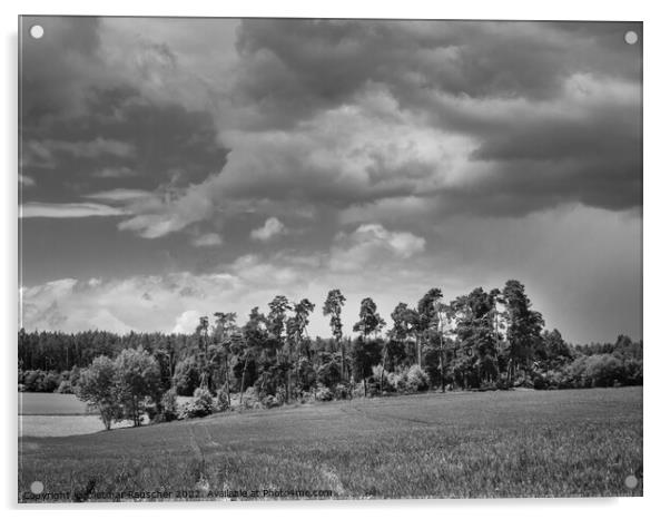 Landscape near Malkovice in Western Bohemia in Black and White Acrylic by Dietmar Rauscher