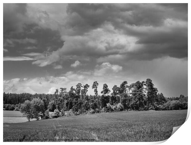 Landscape near Malkovice in Western Bohemia in Black and White Print by Dietmar Rauscher