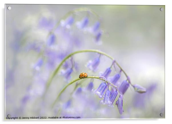 Ladybird visits Bluebells Acrylic by Jenny Hibbert