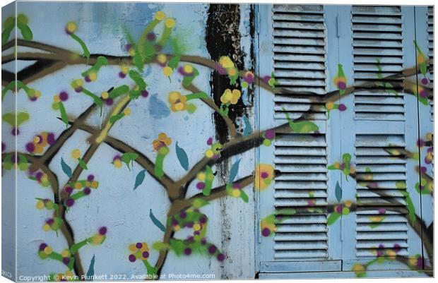 Abstract Wall and Window Shutters Canvas Print by Kevin Plunkett