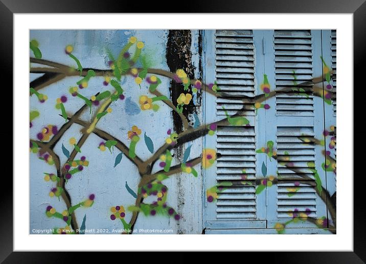 Abstract Wall and Window Shutters Framed Mounted Print by Kevin Plunkett