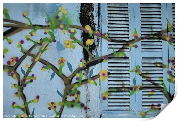Abstract Wall and Window Shutters Print by Kevin Plunkett