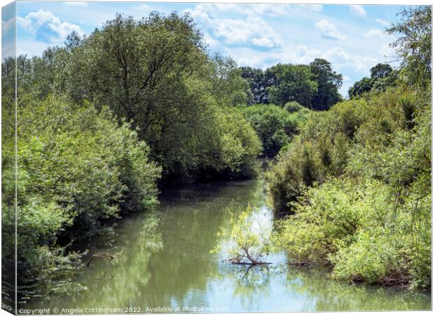 River Derwent at Wheldrake Ings Canvas Print by Angela Cottingham