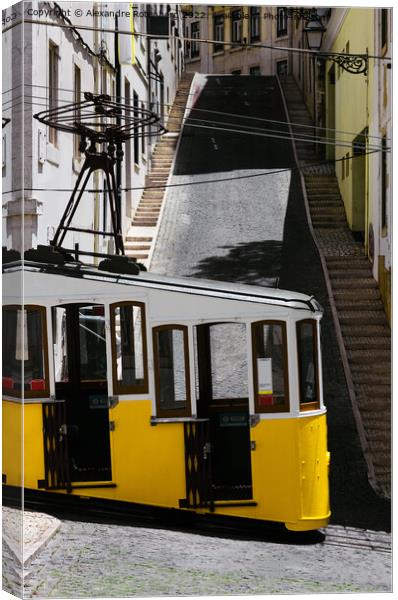 Lisbon Tram Canvas Print by Alexandre Rotenberg