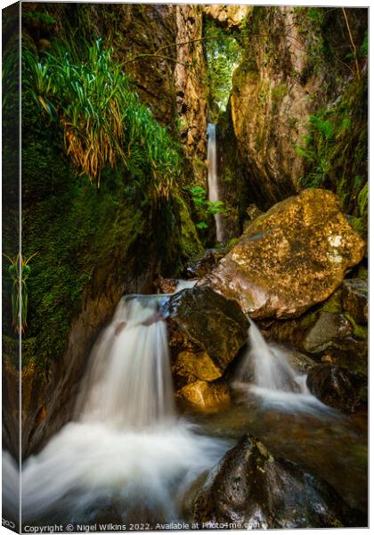 Dungeon Ghyll Canvas Print by Nigel Wilkins