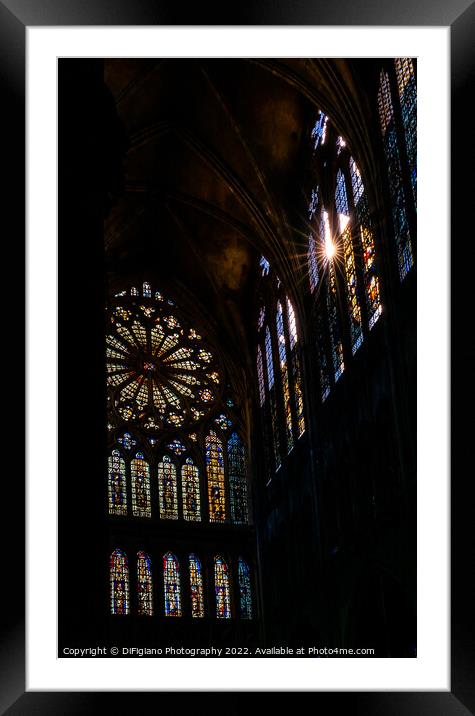 Shine A Light Framed Mounted Print by DiFigiano Photography