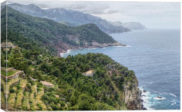 View From Ses Animes Watch Tower Mallorca  Canvas Print by Peter F Hunt