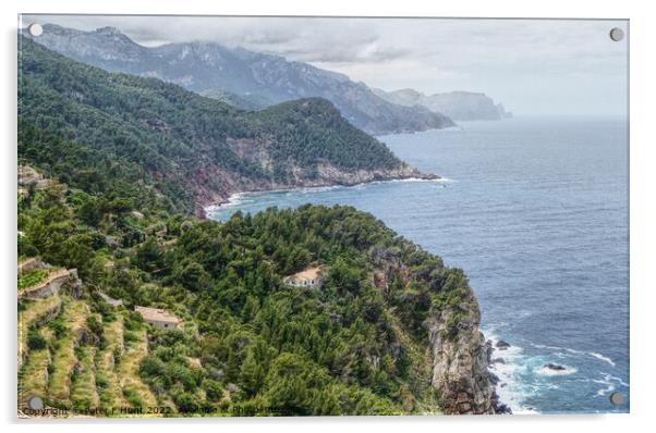 View From Ses Animes Watch Tower Mallorca  Acrylic by Peter F Hunt