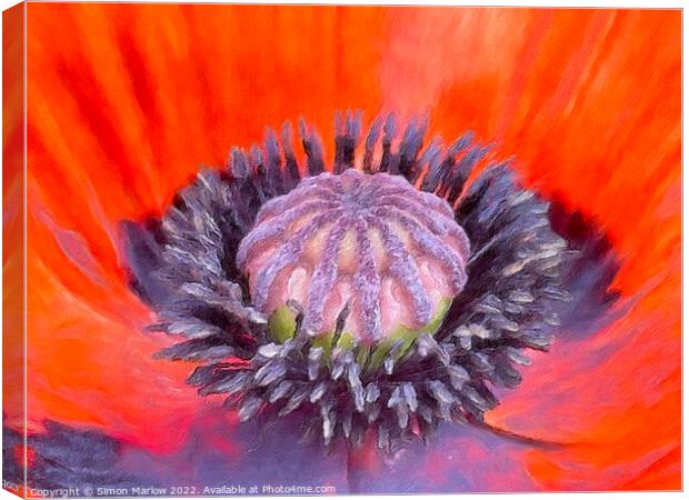 Close up of a Poppy flower Canvas Print by Simon Marlow