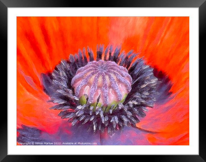 Close up of a Poppy flower Framed Mounted Print by Simon Marlow