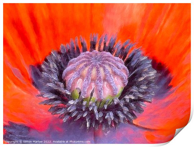 Close up of a Poppy flower Print by Simon Marlow