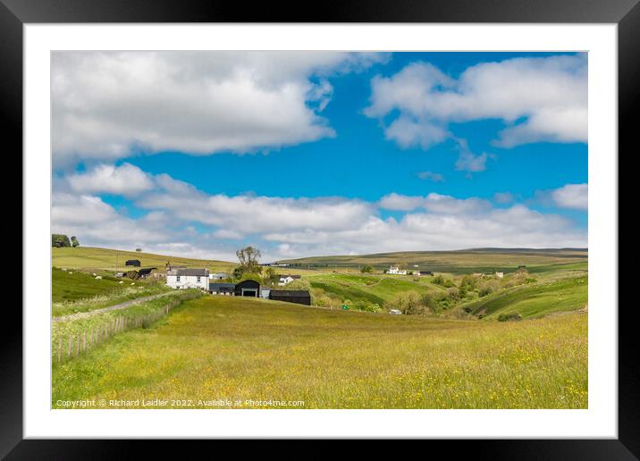 Summer Meadows in Ettersgill, Teesdale Framed Mounted Print by Richard Laidler