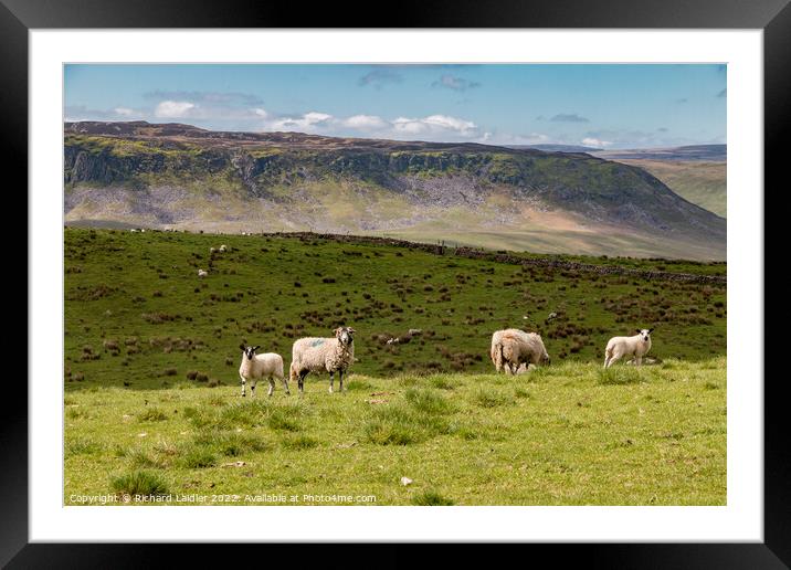 Cronkley Scar from Wool Pits Hill, Teesdale Framed Mounted Print by Richard Laidler