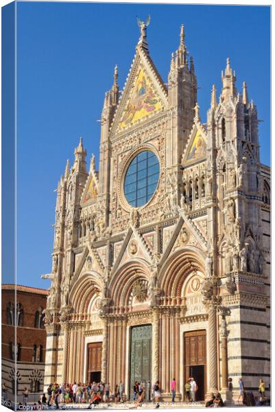West Façade of the Duomo - Siena Canvas Print by Laszlo Konya