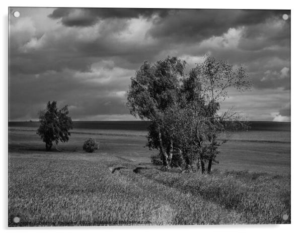 Bohemia Landscape with Field and Trees Acrylic by Dietmar Rauscher