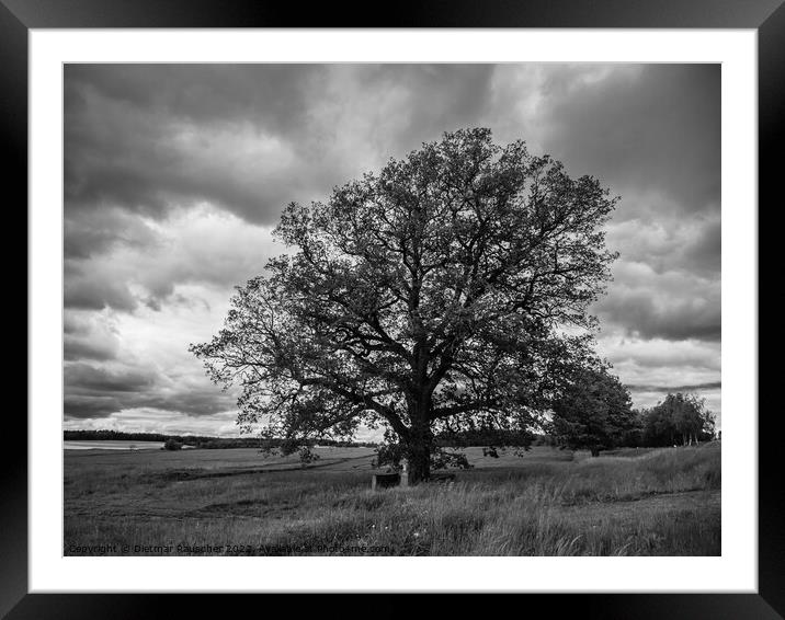 Oak Tree, Wayside Cross and Landscape in Bohemia Framed Mounted Print by Dietmar Rauscher
