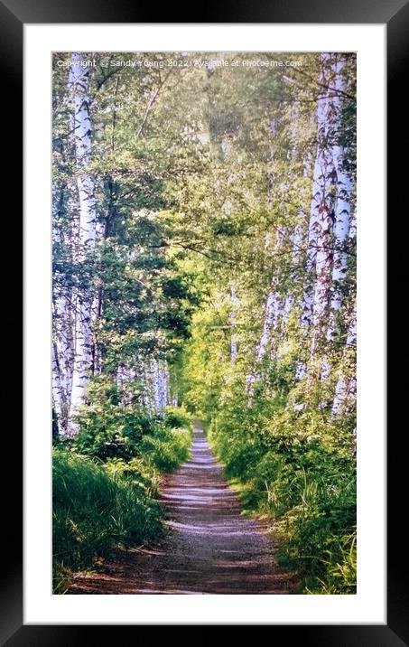 The Enchanting Birks of Aberfeldy Framed Mounted Print by Sandy Young